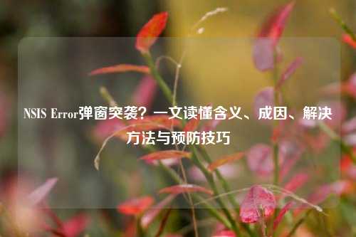 NSIS Error弹窗突袭？一文读懂含义、成因、解决方法与预防技巧