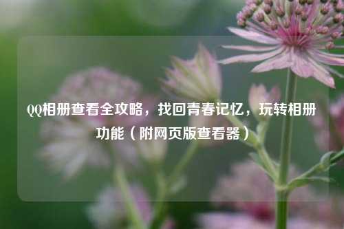 QQ相册查看全攻略,找回青春记忆,玩转相册功能(附网页版查看器)