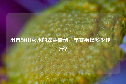 出自黔山秀水的翠芽清韵，羊艾毛峰多少钱一斤？