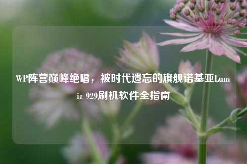 WP阵营巅峰绝唱，被时代遗忘的旗舰诺基亚Lumia 929刷机软件全指南
