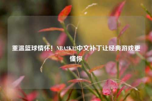 重温篮球情怀！NBA2K12中文补丁让经典游戏更懂你