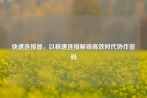 快速连接器，以极速连接解锁高效时代协作密码