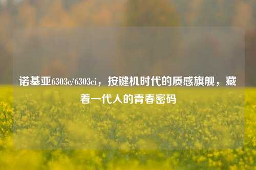 诺基亚6303c/6303ci，按键机时代的质感旗舰，藏着一代人的青春密码