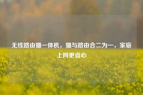 无线路由猫一体机，猫与路由合二为一，家庭上网更省心