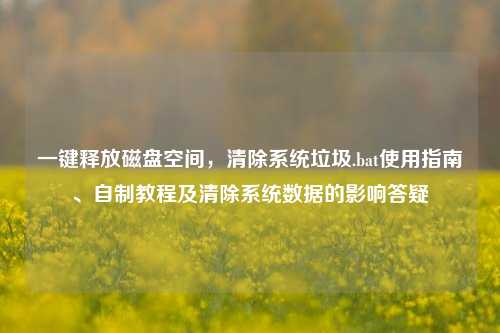 一键释放磁盘空间,清除系统垃圾.bat使用指南、自制教程及清除系统数据的影响答疑