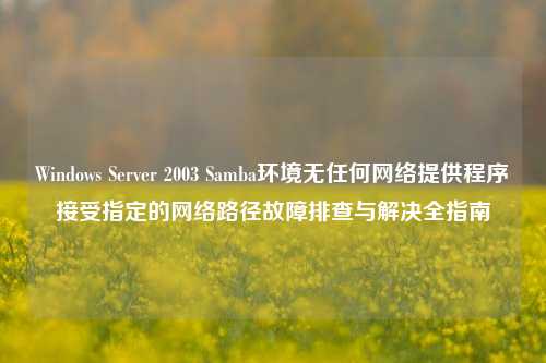 Windows Server 2003 Samba环境无任何网络提供程序接受指定的网络路径故障排查与解决全指南