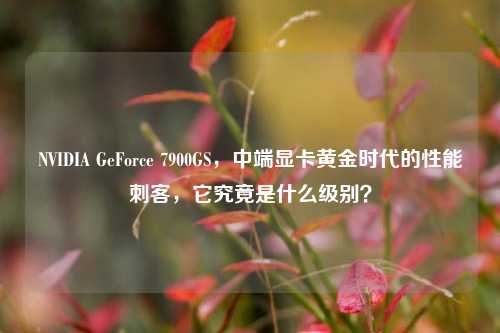 NVIDIA GeForce 7900GS，中端显卡黄金时代的性能刺客，它究竟是什么级别？