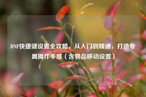 DNF快捷键设置全攻略,从入门到精通,打造专属操作手感(含物品移动设置)
