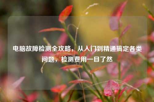 电脑故障检测全攻略，从入门到精通搞定各类问题，检测费用一目了然