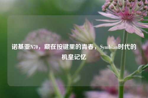 诺基亚N70，藏在按键里的青春，Symbian时代的机皇记忆