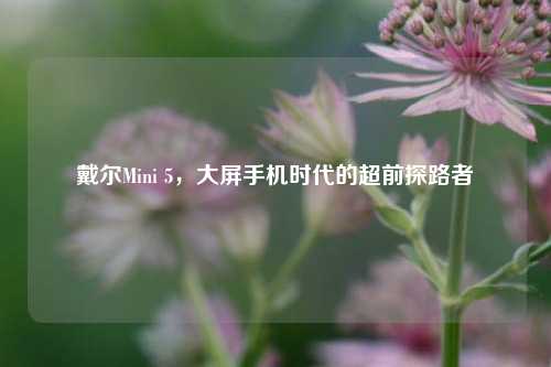 戴尔Mini 5,大屏手机时代的超前探路者