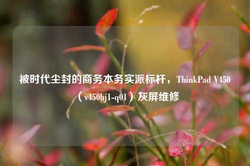 被时代尘封的商务本务实派标杆，ThinkPad V450（v450hj1-q01）灰屏维修