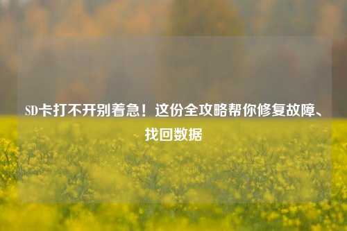 SD卡打不开别着急！这份全攻略帮你修复故障、找回数据