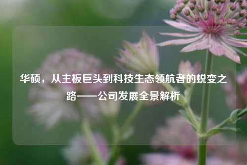 华硕，从主板巨头到科技生态领航者的蜕变之路——公司发展全景解析