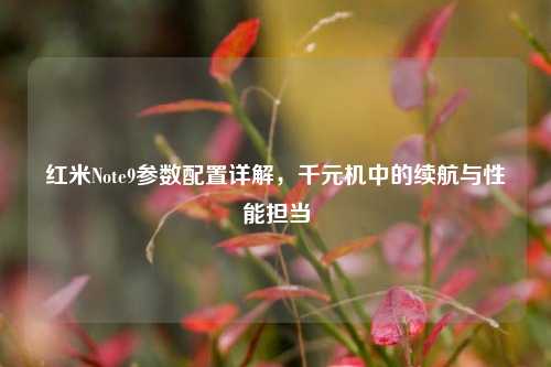 红米Note9参数配置详解，千元机中的续航与性能担当