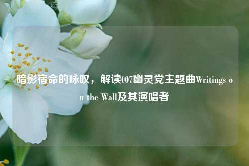 暗影宿命的咏叹,解读007幽灵党主题曲Writings on the Wall及其演唱者