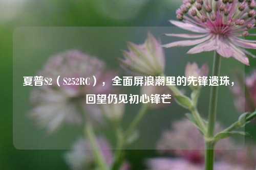 夏普S2(S252RC),全面屏浪潮里的先锋遗珠,回望仍见初心锋芒