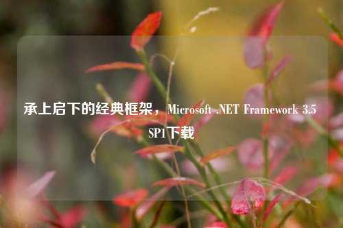 承上启下的经典框架,Microsoft .NET Framework 3.5 SP1下载