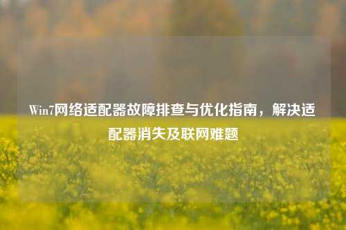 Win7网络适配器故障排查与优化指南,解决适配器消失及联网难题