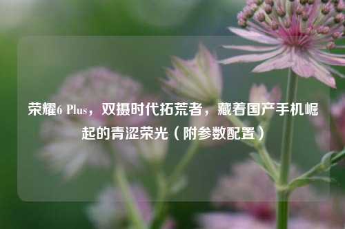 荣耀6 Plus，双摄时代拓荒者，藏着国产手机崛起的青涩荣光（附参数配置）