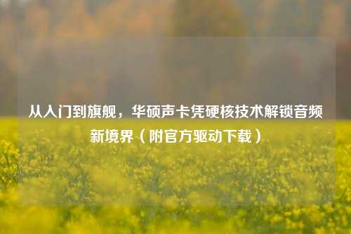 从入门到旗舰,华硕声卡凭硬核技术解锁音频新境界(附官方驱动下载)