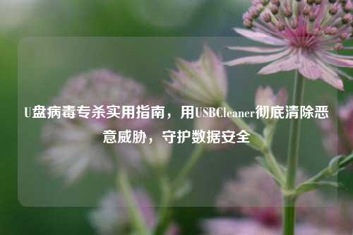U盘病毒专杀实用指南，用USBCleaner彻底清除恶意威胁，守护数据安全