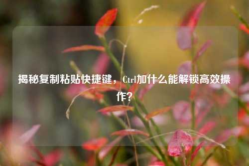 揭秘复制粘贴快捷键,Ctrl加什么能解锁高效操作?