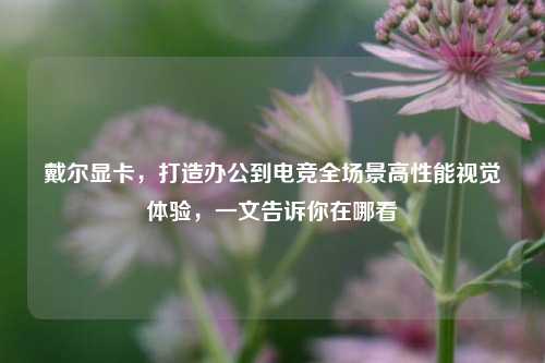 戴尔显卡,打造办公到电竞全场景高性能视觉体验,一文告诉你在哪看