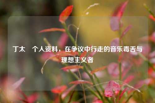 丁太昇个人资料,在争议中行走的音乐毒舌与理想主义者