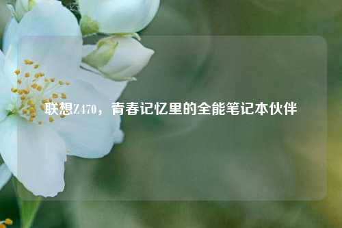 联想Z470，青春记忆里的全能笔记本伙伴