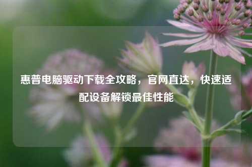 惠普电脑驱动下载全攻略，官网直达，快速适配设备解锁最佳性能
