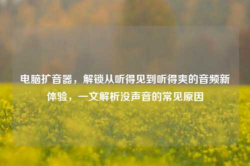 电脑扩音器，解锁从听得见到听得爽的音频新体验，一文解析没声音的常见原因