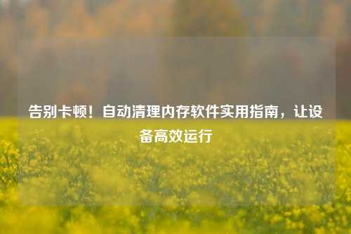 告别卡顿!自动清理内存软件实用指南,让设备高效运行