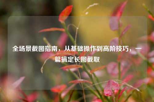 全场景截图指南，从基础操作到高阶技巧，一篇搞定长图截取
