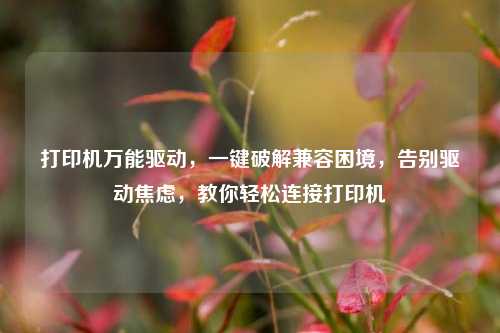 打印机万能驱动，一键破解兼容困境，告别驱动焦虑，教你轻松连接打印机