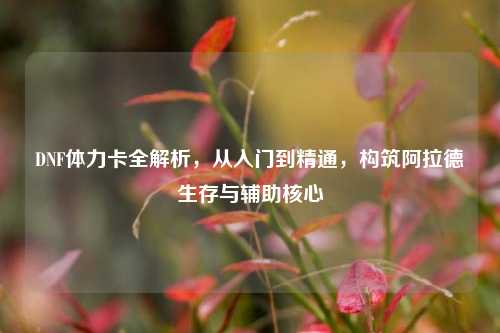 DNF体力卡全解析,从入门到精通,构筑阿拉德生存与辅助核心