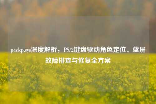 peckp.sys深度解析，PS/2键盘驱动角色定位、蓝屏故障排查与修复全方案