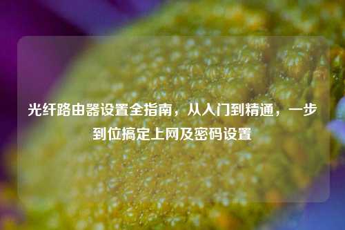 光纤路由器设置全指南，从入门到精通，一步到位搞定上网及密码设置