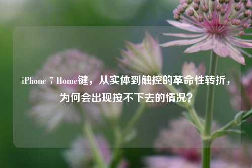 iPhone 7 Home键,从实体到触控的革命性转折,为何会出现按不下去的情况?