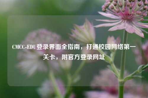 CMCC-EDU登录界面全指南，打通校园网络第一关卡，附官方登录网址