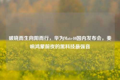 破晓而生向阳而行，华为Mate40国内发布会，奏响鸿蒙前夜的黑科技最强音