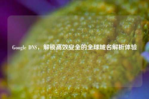 Google DNS,解锁高效安全的全球域名解析体验