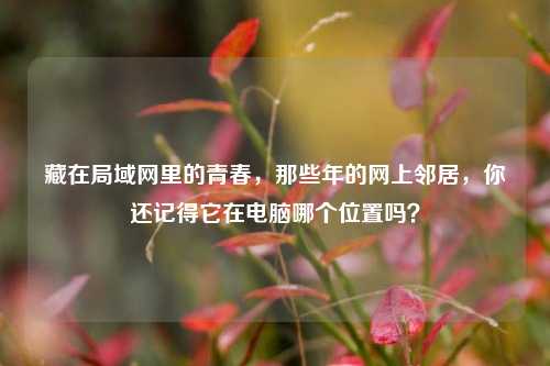藏在局域网里的青春,那些年的网上邻居,你还记得它在电脑哪个位置吗?