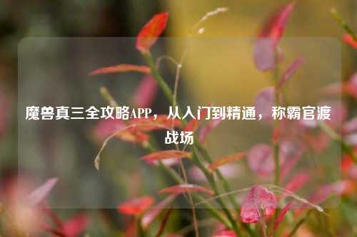 魔兽真三全攻略APP,从入门到精通,称霸官渡战场