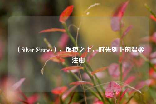 〈Silver Scrapes〉，银痕之上，时光刻下的温柔注脚
