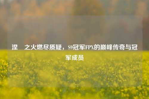 涅槃之火燃尽质疑，S9冠军FPX的巅峰传奇与冠军成员