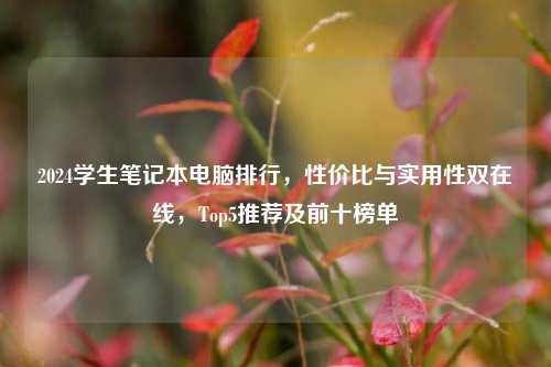 2024学生笔记本电脑排行,性价比与实用性双在线,Top5推荐及前十榜单