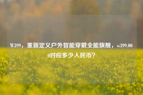 W399，重新定义户外智能穿戴全能旗舰，w399.000对应多少人民币？