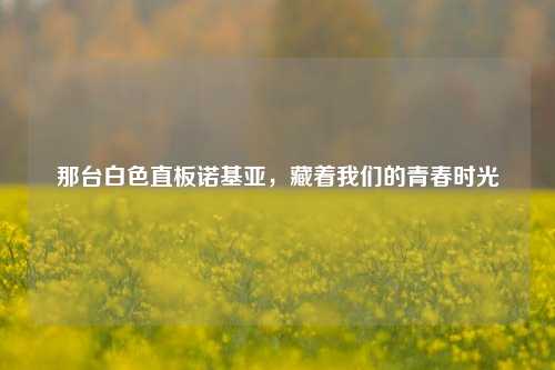 那台白色直板诺基亚，藏着我们的青春时光