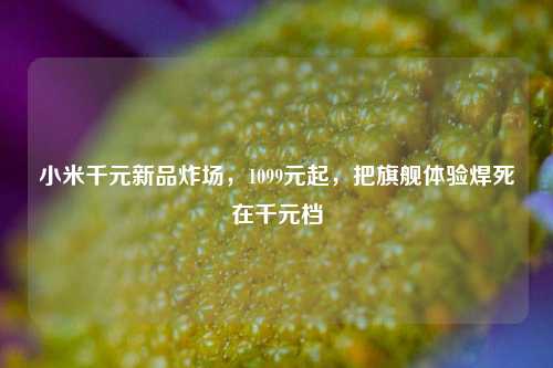 小米千元新品炸场,1099元起,把旗舰体验焊死在千元档